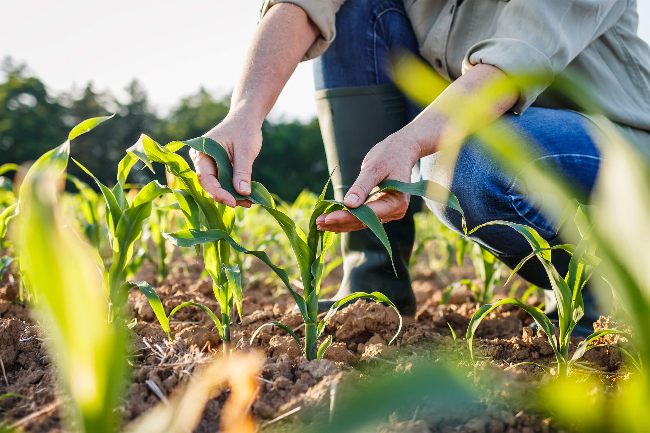 Soluções Agrícolas